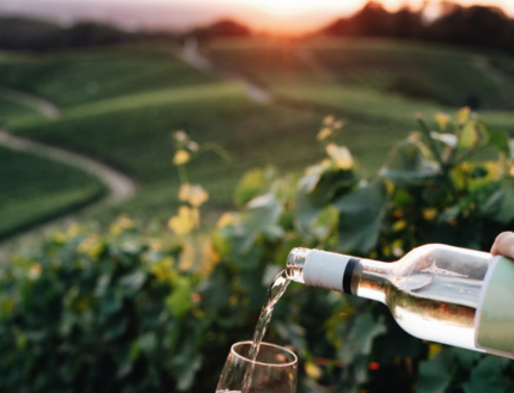 La Fiesta de la Vendimia de Rueda contará con 30 bodegas en la Feria del Vino