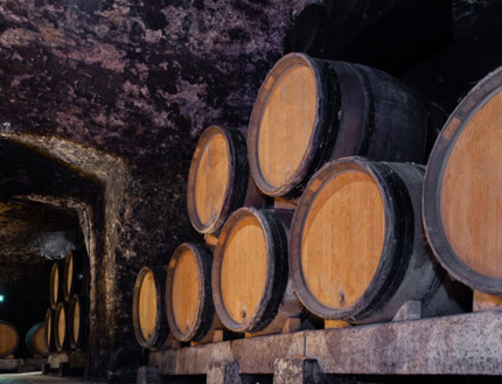 ¿Por qué se utilizan barricas de roble en la crianza de los vinos?