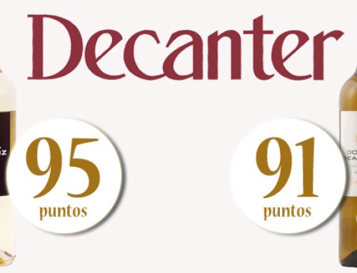 Doña Beatriz Verdejo, 95 Points y Doña Beatriz Ecológico (BIO), 91 Points