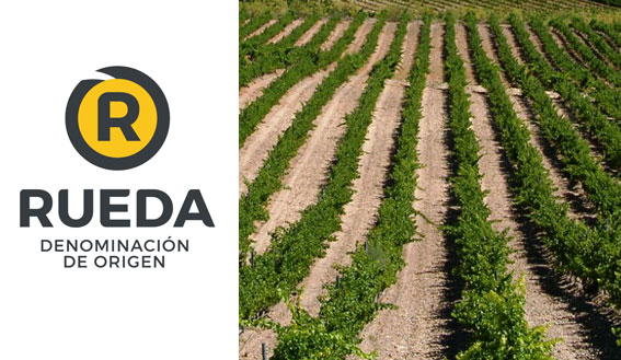 Vendimia Bodegas Cerrosol